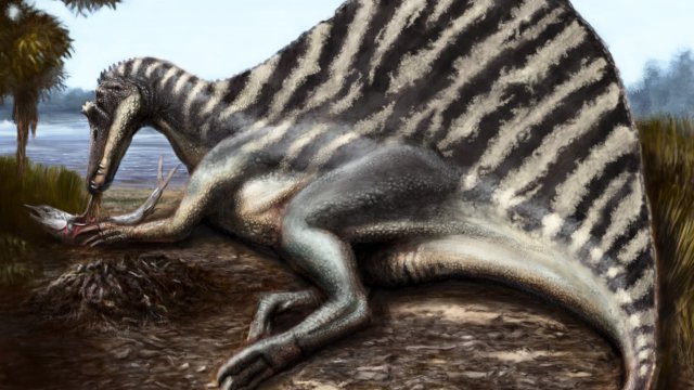 Dinosaurios