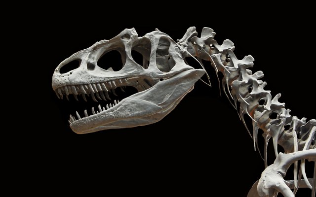 Dinosaurios