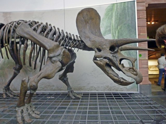 Dinosaurios