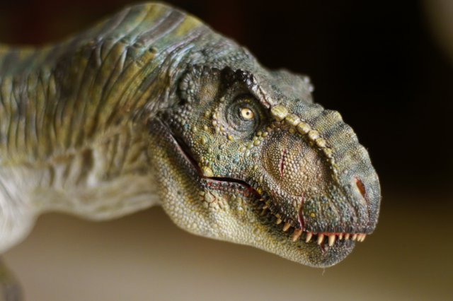 Dinosaurios