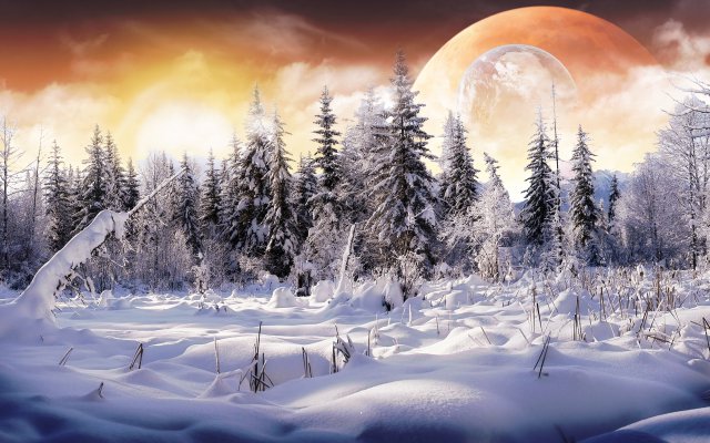 Gaia