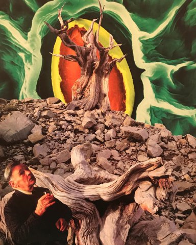 Cosmic deliverance