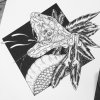 Cosmic deliverance