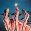 Cosmic deliverance